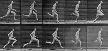 You are currently viewing The Importance of Biomechanics